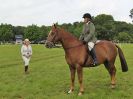 Image 134 in BECCLES AND BUNGAY RIDING CLUB. OPEN SHOW. 19 JUNE 2016. RINGS 2  3  AND 4