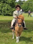 Image 137 in BECCLES AND BUNGAY RIDING CLUB. OPEN SHOW. 19 JUNE 2016. RINGS 2  3  AND 4