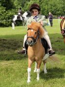 Image 138 in BECCLES AND BUNGAY RIDING CLUB. OPEN SHOW. 19 JUNE 2016. RINGS 2  3  AND 4