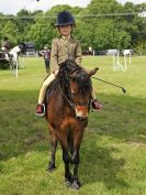 Image 140 in BECCLES AND BUNGAY RIDING CLUB. OPEN SHOW. 19 JUNE 2016. RINGS 2  3  AND 4
