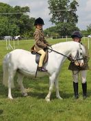 Image 141 in BECCLES AND BUNGAY RIDING CLUB. OPEN SHOW. 19 JUNE 2016. RINGS 2  3  AND 4