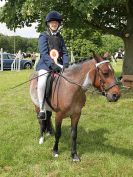 Image 142 in BECCLES AND BUNGAY RIDING CLUB. OPEN SHOW. 19 JUNE 2016. RINGS 2  3  AND 4