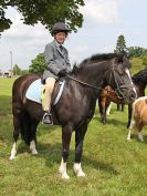 Image 143 in BECCLES AND BUNGAY RIDING CLUB. OPEN SHOW. 19 JUNE 2016. RINGS 2  3  AND 4