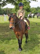 Image 145 in BECCLES AND BUNGAY RIDING CLUB. OPEN SHOW. 19 JUNE 2016. RINGS 2  3  AND 4