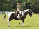 Image 148 in BECCLES AND BUNGAY RIDING CLUB. OPEN SHOW. 19 JUNE 2016. RINGS 2  3  AND 4