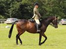 Image 149 in BECCLES AND BUNGAY RIDING CLUB. OPEN SHOW. 19 JUNE 2016. RINGS 2  3  AND 4