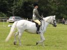 Image 150 in BECCLES AND BUNGAY RIDING CLUB. OPEN SHOW. 19 JUNE 2016. RINGS 2  3  AND 4