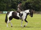 Image 152 in BECCLES AND BUNGAY RIDING CLUB. OPEN SHOW. 19 JUNE 2016. RINGS 2  3  AND 4