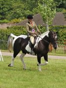 Image 153 in BECCLES AND BUNGAY RIDING CLUB. OPEN SHOW. 19 JUNE 2016. RINGS 2  3  AND 4