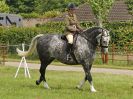 Image 154 in BECCLES AND BUNGAY RIDING CLUB. OPEN SHOW. 19 JUNE 2016. RINGS 2  3  AND 4