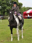 Image 156 in BECCLES AND BUNGAY RIDING CLUB. OPEN SHOW. 19 JUNE 2016. RINGS 2  3  AND 4