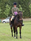 Image 157 in BECCLES AND BUNGAY RIDING CLUB. OPEN SHOW. 19 JUNE 2016. RINGS 2  3  AND 4