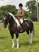 Image 160 in BECCLES AND BUNGAY RIDING CLUB. OPEN SHOW. 19 JUNE 2016. RINGS 2  3  AND 4