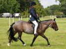 Image 161 in BECCLES AND BUNGAY RIDING CLUB. OPEN SHOW. 19 JUNE 2016. RINGS 2  3  AND 4