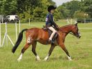 Image 162 in BECCLES AND BUNGAY RIDING CLUB. OPEN SHOW. 19 JUNE 2016. RINGS 2  3  AND 4