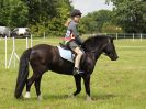 Image 163 in BECCLES AND BUNGAY RIDING CLUB. OPEN SHOW. 19 JUNE 2016. RINGS 2  3  AND 4