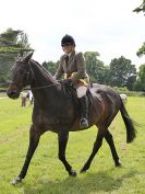 Image 164 in BECCLES AND BUNGAY RIDING CLUB. OPEN SHOW. 19 JUNE 2016. RINGS 2  3  AND 4