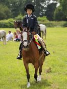 Image 165 in BECCLES AND BUNGAY RIDING CLUB. OPEN SHOW. 19 JUNE 2016. RINGS 2  3  AND 4