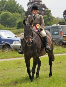 Image 166 in BECCLES AND BUNGAY RIDING CLUB. OPEN SHOW. 19 JUNE 2016. RINGS 2  3  AND 4