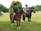 Image 167 in BECCLES AND BUNGAY RIDING CLUB. OPEN SHOW. 19 JUNE 2016. RINGS 2  3  AND 4