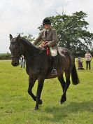 Image 168 in BECCLES AND BUNGAY RIDING CLUB. OPEN SHOW. 19 JUNE 2016. RINGS 2  3  AND 4