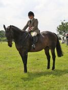 Image 169 in BECCLES AND BUNGAY RIDING CLUB. OPEN SHOW. 19 JUNE 2016. RINGS 2  3  AND 4