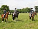 Image 171 in BECCLES AND BUNGAY RIDING CLUB. OPEN SHOW. 19 JUNE 2016. RINGS 2  3  AND 4