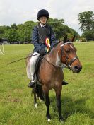 Image 173 in BECCLES AND BUNGAY RIDING CLUB. OPEN SHOW. 19 JUNE 2016. RINGS 2  3  AND 4