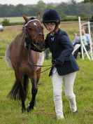 Image 175 in BECCLES AND BUNGAY RIDING CLUB. OPEN SHOW. 19 JUNE 2016. RINGS 2  3  AND 4