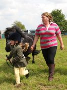 Image 178 in BECCLES AND BUNGAY RIDING CLUB. OPEN SHOW. 19 JUNE 2016. RINGS 2  3  AND 4