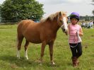 Image 179 in BECCLES AND BUNGAY RIDING CLUB. OPEN SHOW. 19 JUNE 2016. RINGS 2  3  AND 4