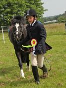 Image 182 in BECCLES AND BUNGAY RIDING CLUB. OPEN SHOW. 19 JUNE 2016. RINGS 2  3  AND 4