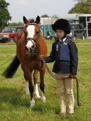 Image 183 in BECCLES AND BUNGAY RIDING CLUB. OPEN SHOW. 19 JUNE 2016. RINGS 2 3 AND 4