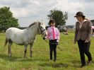 Image 185 in BECCLES AND BUNGAY RIDING CLUB. OPEN SHOW. 19 JUNE 2016. RINGS 2  3  AND 4