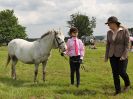 Image 185 in BECCLES AND BUNGAY RIDING CLUB. OPEN SHOW. 19 JUNE 2016. RINGS 2 3 AND 4