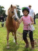 Image 188 in BECCLES AND BUNGAY RIDING CLUB. OPEN SHOW. 19 JUNE 2016. RINGS 2  3  AND 4