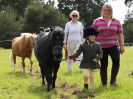 Image 189 in BECCLES AND BUNGAY RIDING CLUB. OPEN SHOW. 19 JUNE 2016. RINGS 2  3  AND 4