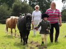 Image 189 in BECCLES AND BUNGAY RIDING CLUB. OPEN SHOW. 19 JUNE 2016. RINGS 2 3 AND 4