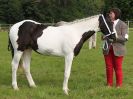 Image 19 in BECCLES AND BUNGAY RIDING CLUB. OPEN SHOW. 19 JUNE 2016. RINGS 2  3  AND 4