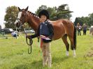 Image 194 in BECCLES AND BUNGAY RIDING CLUB. OPEN SHOW. 19 JUNE 2016. RINGS 2 3 AND 4