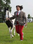Image 20 in BECCLES AND BUNGAY RIDING CLUB. OPEN SHOW. 19 JUNE 2016. RINGS 2  3  AND 4