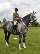 Image 29 in BECCLES AND BUNGAY RIDING CLUB. OPEN SHOW. 19 JUNE 2016. RINGS 2  3  AND 4