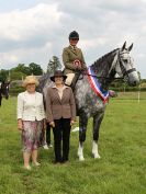 Image 31 in BECCLES AND BUNGAY RIDING CLUB. OPEN SHOW. 19 JUNE 2016. RINGS 2  3  AND 4