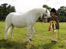 Image 32 in BECCLES AND BUNGAY RIDING CLUB. OPEN SHOW. 19 JUNE 2016. RINGS 2  3  AND 4