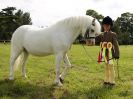 Image 32 in BECCLES AND BUNGAY RIDING CLUB. OPEN SHOW. 19 JUNE 2016. RINGS 2 3 AND 4