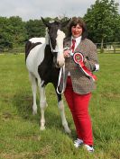 Image 37 in BECCLES AND BUNGAY RIDING CLUB. OPEN SHOW. 19 JUNE 2016. RINGS 2 3 AND 4