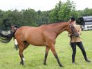 Image 42 in BECCLES AND BUNGAY RIDING CLUB. OPEN SHOW. 19 JUNE 2016. RINGS 2 3 AND 4
