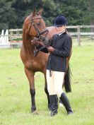 Image 44 in BECCLES AND BUNGAY RIDING CLUB. OPEN SHOW. 19 JUNE 2016. RINGS 2 3 AND 4