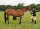 Image 47 in BECCLES AND BUNGAY RIDING CLUB. OPEN SHOW. 19 JUNE 2016. RINGS 2 3 AND 4