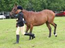 Image 48 in BECCLES AND BUNGAY RIDING CLUB. OPEN SHOW. 19 JUNE 2016. RINGS 2 3 AND 4